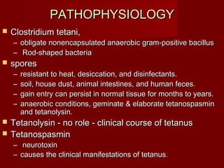 PATHOPHYSIOLOGYPATHOPHYSIOLOGY
 Clostridium tetani,Clostridium tetani,
– obligate nonencapsulated anaerobic gram-positive bacillusobligate nonencapsulated anaerobic gram-positive bacillus
– Rod-shaped bacteriaRod-shaped bacteria
 sporesspores
– resistant to heat, desiccation, and disinfectants.resistant to heat, desiccation, and disinfectants.
– soil, house dust, animal intestines, and human feces.soil, house dust, animal intestines, and human feces.
– gain entry can persist in normal tissue for months to years.gain entry can persist in normal tissue for months to years.
– anaerobic conditions, geminate & elaborate tetanospasminanaerobic conditions, geminate & elaborate tetanospasmin
and tetanolysin.and tetanolysin.
 Tetanolysin - no role - clinical course of tetanusTetanolysin - no role - clinical course of tetanus
 TetanospasminTetanospasmin
– neurotoxinneurotoxin
– causes the clinical manifestations of tetanuscauses the clinical manifestations of tetanus..
 