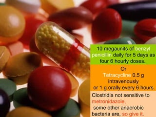 10 megaunits of benzyl
penicillin daily for 5 days as
four 6 hourly doses.
Or
Tetracycline 0.5 g
intravenously
or 1 g orally every 6 hours.
Clostridia not sensitive to
metronidazole,
some other anaerobic
bacteria are, so give it.
 