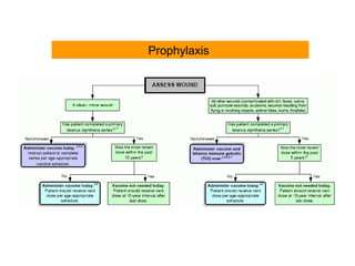 Prophylaxis
 