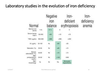 Iron defficiency anemia | PPTX | Blood Disorders | Diseases and Conditions