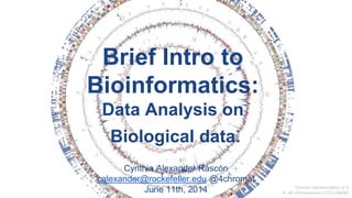 Brief introduction to Bioinformatics | PPT