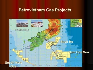 Petrovietnam Gas Projects
Bach Ho
Nam Con Son
South West
Gas
 