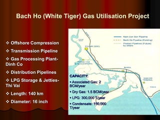 Bach Ho (White Tiger) Gas Utilisation Project
? Offshore Compression
? Transmission Pipeline
? Gas Processing Plant-
Dinh Co
? Distribution Pipelines
? LPG Storage & Jetties-
Thi Vai
? Length: 140 km
? Diameter: 16 inch
CAPACITY:
? Associated Gas: 2
BCM/year
? Dry Gas: 1.5 BCM/year
? LPG: 300,000 T/year
? Condensate: 150,000
T/year
 
