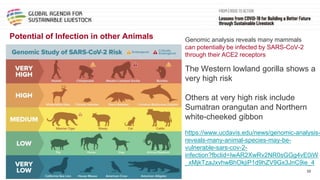 Framing presentation on animal health and animal welfare perspective, predict, prevent and control of emerging zoonosis