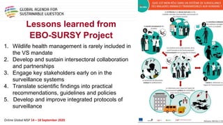 Framing presentation on animal health and animal welfare perspective, predict, prevent and control of emerging zoonosis