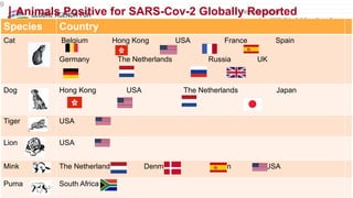 Framing presentation on animal health and animal welfare perspective, predict, prevent and control of emerging zoonosis