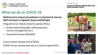 Framing presentation on the livestock sector, the pandemic, climate change and natural resource use in sub-Saharan Africa