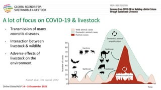 Framing presentation on the livestock sector, the pandemic, climate change and natural resource use in sub-Saharan Africa