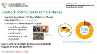 Framing presentation on the livestock sector, the pandemic, climate change and natural resource use in sub-Saharan Africa