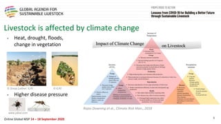 Framing presentation on the livestock sector, the pandemic, climate change and natural resource use in sub-Saharan Africa
