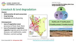 Framing presentation on the livestock sector, the pandemic, climate change and natural resource use in sub-Saharan Africa