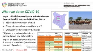 Framing presentation on the livestock sector, the pandemic, climate change and natural resource use in sub-Saharan Africa