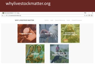 Informing and influencing sustainable livestock investments