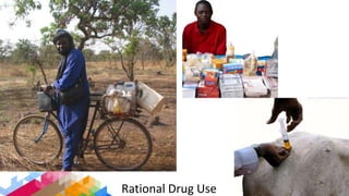 Improving collaboration between research and the private sector to accelerate livestock innovation for sustainability into use