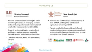 Improving collaboration between research and the private sector to accelerate livestock innovation for sustainability into use