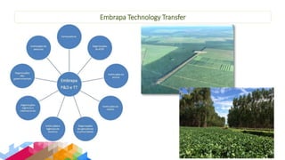 Improving collaboration between research and the private sector to accelerate livestock innovation for sustainability into use