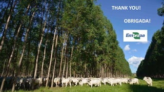 Improving collaboration between research and the private sector to accelerate livestock innovation for sustainability into use