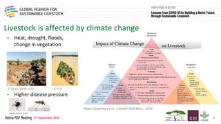 The livestock sector, the pandemic, climate change and natural resource use in sub-Saharan Africa