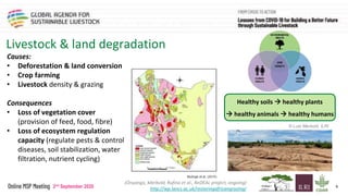 The livestock sector, the pandemic, climate change and natural resource use in sub-Saharan Africa
