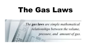 The Gas Laws
 