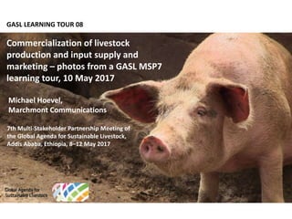 GASL LEARNING TOUR 08
Commercialization of livestock
production and input supply and
marketing – photos from a GASL MSP7
learning tour, 10 May 2017
7th Multi-Stakeholder Partnership Meeting of
the Global Agenda for Sustainable Livestock,
Addis Ababa, Ethiopia, 8–12 May 2017
Michael Hoevel,
Marchmont Communications
 