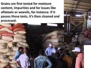 Commercialization of livestock production and input supply and marketing – photos from a GASL MSP7 learning tour, 10 May 2017