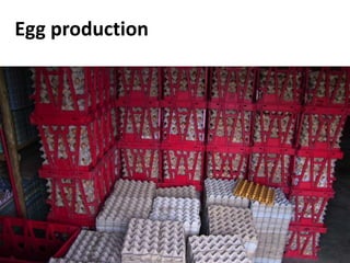 Commercialization of livestock production and input supply and marketing – photos from a GASL MSP7 learning tour, 10 May 2017