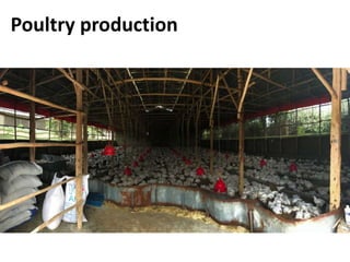 Commercialization of livestock production and input supply and marketing – photos from a GASL MSP7 learning tour, 10 May 2017