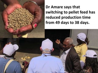 Commercialization of livestock production and input supply and marketing – photos from a GASL MSP7 learning tour, 10 May 2017