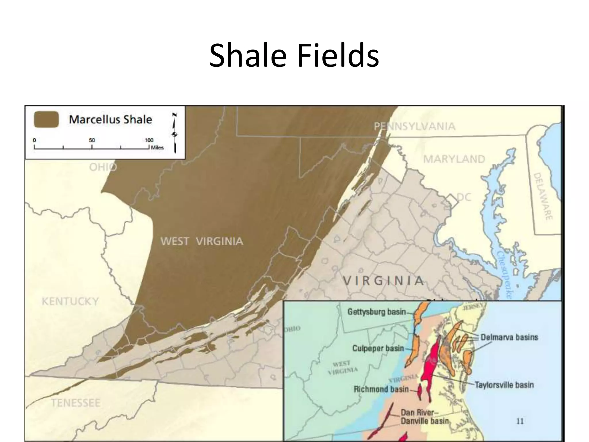 Shale Fields
 