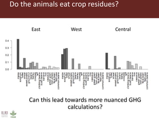 Livestock, human welfare, and sustainability: The challenge of harmonizing farmer interview data from 30+ countries and conducting coherent analyses