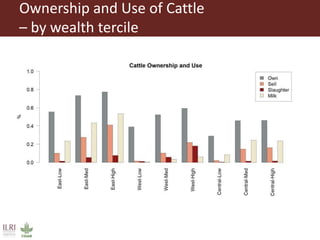Livestock, human welfare, and sustainability: The challenge of harmonizing farmer interview data from 30+ countries and conducting coherent analyses