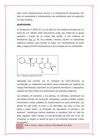 3 Todo es Veneno , Nada es Veneno, Todo depende de la dosis
tales como Staphylococcus aureus y la Pseudomonas aeruginosa. Por
esto se recomienda el cotratamiento con antibióticos ante la exposición
con gas mostaza.
ACROTOXINA
La Ocratoxina A (OTA) (C20 H18 O6 NCl) es una molécula formada por un
anillo de 3,4- dihidro metil isocumarina unido, por medio de su grupo
carboxilo y través de un enlace tipo amida, a una molécula de
fenilalanina (fig. 1). Es muy estable, incolora, soluble en disolventes
orgánicos polares, poco soluble en agua, con características de ácido
débil y capaz de emitir fluorescencia al ser excitada con luz ultravioleta1
.
Detectada por primera vez en muestras de maíz2
africanas, es
considerada un metabolito secundario tóxico producido por especies de
hongos filamentosos superiores de los géneros Penicillium y Aspergillus,
capaces de crecer sobre una amplia gama de sustratos orgánicos.
Los cereales, en humanos, y los piensos, en animales, constituyen las
principales fuentes de exposición alimentaria, aunque también pueden
encontrarse niveles notables de contaminación en otros alimentos. Los
granos de café verde, la carne y sus derivados, las uvas, el vino, las
pasas e higos secos3
, el chocolate, las legumbres, la cerveza y las
especias4
, constituyen fuentes dietéticas a considerar sólo en caso de
altas ingestas. Otras fuentes no convencionales de OTA son el té, las
infusiones, el regaliz, el aceite de oliva y los alimentos infantiles a base
de cereales5
.
 