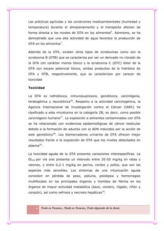 4 Todo es Veneno , Nada es Veneno, Todo depende de la dosis
Las prácticas agrícolas y las condiciones medioambientales (humedad y
temperatura) durante el almacenamiento y el transporte afectan de
forma directa a los niveles de OTA en los alimentos6
. Asimismo, se ha
demostrado que una alta actividad de agua favorece la producción de
OTA en los alimentos7
.
Además de la OTA, existen otros tipos de ocratoxinas como son la
ocratoxina B (OTB) que se caracteriza por ser un derivado no clorado de
la OTA con carácter menos tóxico y la ocratoxina C (OTC) éster de la
OTA con escaso potencial tóxico, ambas productos de la hidrólisis de
OTA y OTB, respectivamente, que se caracterizan por carecer de
toxicidad
Toxicidad
La OTA es nefrotóxica, inmunosupresora, genotóxica, carcinógena,
teratogénica y neurotóxica26
. Respecto a la actividad carcinogénica, la
Agencia Internacional de Investigación contra el Cáncer (IARC) ha
clasificado a esta micotoxina en la categoría 2B, es decir, como posible
carcinógeno humano27
. La exposición a alimentos contaminados con OTA
se ha relacionado con evidencias epidemiológicas de cáncer testicular
debido a la formación de aductos con el ADN inducidos por la acción de
este genotóxico28
. Los biomarcadores urinarios de OTA ofrecen mejor
resultados frente a la exposición de OTA que los niveles detectados en
plasma29
.
La toxicidad aguda de la OTA presenta variaciones interespecíficas. La
DL50 por vía oral presenta un intervalo entre 20-50 mg/kg en ratas y
ratones, y entre 0,2-1 mg/kg en perros, cerdos y pollos, que son las
especies más sensibles. Los síntomas de una intoxicación aguda
consisten en pérdida de peso, poliuria, polidipsia y hemorragias
multifocales en los principales órganos y trombos de fibrina en los
órganos de mayor actividad metabólica (bazo, cerebro, hígado, riñón y
corazón), así como nefrosis y necrosis hepáticas16
.
 