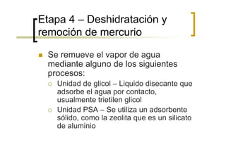 Etapa 4 – Deshidratación y
remoción de mercurio

 Se remueve el vapor de agua
 mediante alguno de los siguientes
 procesos:
   Unidad de glicol – Liquido disecante que
   adsorbe el agua por contacto,
   usualmente trietilen glicol
   Unidad PSA – Se utiliza un adsorbente
   sólido, como la zeolita que es un silicato
   de aluminio
 