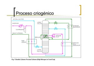 Proceso criogénico
 