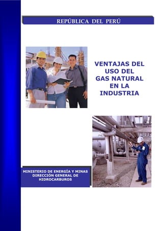 REPÚBLICA DEL PERÚ




                                VENTAJAS DEL
                                  USO DEL
                                GAS NATURAL
                                   EN LA
                                 INDUSTRIA




MINISTERIO DE ENERGÍA Y MINAS
    DIRECCIÓN GENERAL DE
       HIDROCARBUROS
 