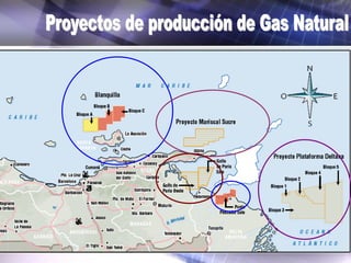 Gas natural en venezuela | PDF