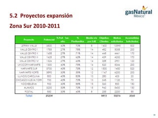 5.2 Proyectos expansión
Zona Sur 2010-2011




                          30
 