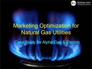 Marketing Optimization for
Natural Gas Utilities
Case Study for Alpha Gas & Electric
 