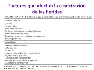 Factores que afectan la cicatrización 
de las heridas 
F. BRUNICARDI, D. ANDERSEN, T. BILLIAR, D. DUNN, J. HUNTER, R. POLLOCK. SWARTZ MANUAL DE 
CIRUGIA. 8va Ed. ; 2006; pg; 166- 183 
 