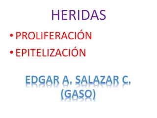HERIDAS 
• PROLIFERACIÓN 
• EPITELIZACIÓN 
 