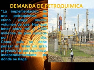 DEMANDA DE PETROQUIMICA
"La implementación de
una
petroquímica
de
etano
exige
mucho
volumen de gas. Hay que
tener entre mil y 1,500
millones de pies cúbicos
por
día.
Como país se debe
pensar en tener un gran
proyecto de petroquímica,
independientemente
de
dónde se haga.

 