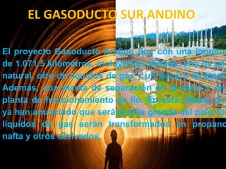 EL GASODUCTO SUR ANDINO

El proyecto Gasoducto Andino Sur, con una longitud
de 1.071.5 kilómetros, incluye tres ductos, uno de gas
natural, otro de líquidos de gas y un tercero de etano
Además, una planta de separación en la selva y una
planta de fraccionamiento en Ilo. En esta última, que
ya han anunciado que será la más grande del país, los
líquidos de gas serán transformados en propano
nafta y otros derivados.

 