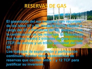 RESERVAS DE GAS
El gasoducto del sur trabajará con recursos
de los lotes 57 y 58. Hasta la fecha, Repsol a
cargo del 57 y Petrobras del 58, avanzan con
la certificación de las reservas. El Gasoducto
Sur Andino tendrá 2 trillones de pies cúbicos
(TCF) de ambos y un trillón adicional del lote
88.
Los trabajos de exploración y perforación
continúan. Kuntur tiene expectativas de
reservas que oscilen entre 7 y 12 TCF para
justificar su inversión.

 