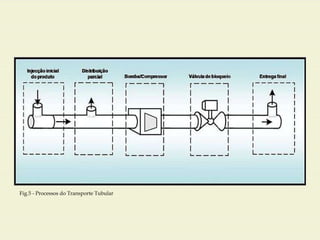 Fig.5 - Processos do Transporte Tubular 