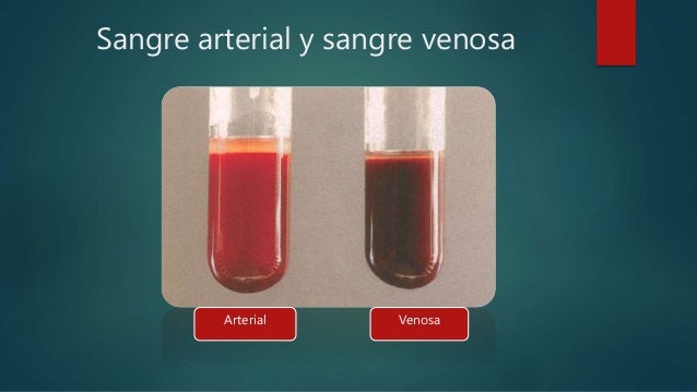 Resultado de imagen para la sangre de arteria