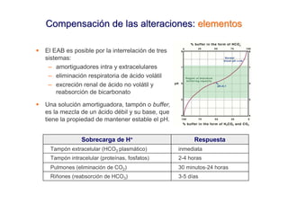 Compensación de las alteraciones: elementos

El EAB es posible por la interrelación de tres
sistemas:
 – amortiguadores intra y extracelulares
 – eliminación respiratoria de ácido volátil
 – excreción renal de ácido no volátil y
    reabsorción de bicarbonato

Una solución amortiguadora, tampón o buffer,
es la mezcla de un ácido débil y su base, que
tiene la propiedad de mantener estable el pH.


              Sobrecarga de H+                         Respuesta
  Tampón extracelular (HCO3 plasmático)          inmediata
  Tampón intracelular (proteínas, fosfatos)      2-4 horas
  Pulmones (eliminación de CO2)                  30 minutos-24 horas
  Riñones (reabsorción de HCO3)                  3-5 días
 