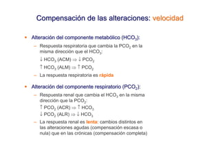 Compensación de las alteraciones: velocidad

Alteración del componente metabólico (HCO3):
– Respuesta respiratoria que cambia la PCO2 en la
  misma dirección que el HCO3:
   ↓ HCO3 (ACM) ⇒ ↓ PCO2
   ↑ HCO3 (ALM) ⇒ ↑ PCO2
– La respuesta respiratoria es rápida

Alteración del componente respiratorio (PCO2):
– Respuesta renal que cambia el HCO3 en la misma
  dirección que la PCO2:
  ↑ PCO2 (ACR) ⇒ ↑ HCO3
  ↓ PCO2 (ALR) ⇒ ↓ HCO3
– La respuesta renal es lenta: cambios distintos en
  las alteraciones agudas (compensación escasa o
  nula) que en las crónicas (compensación completa)
 