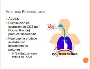 Acidosis Respiratoria<br />Aguda:<br />Disminución en excresion de CO2 (por hipoventilación) produce hipercapnia<br />Hipe...